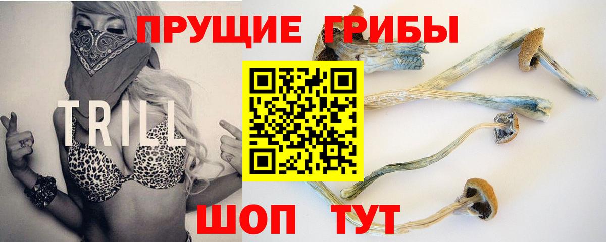 Псилоцибиновые грибы Cubensis Балахна
