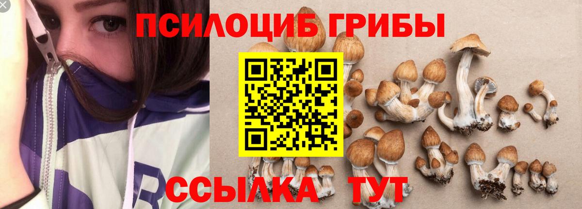 Балахна  купить   Вход с VPN  Галлюциногенные грибы прущие грибы  Галлюциногенные грибы Psilocybine cubensis 